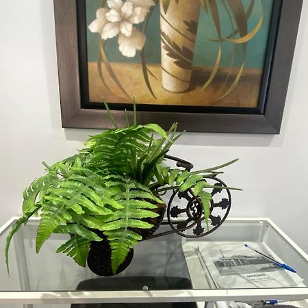 Spectacular 3 Bedroom 2 Wr House - Close To Airport 多伦多 外观 照片